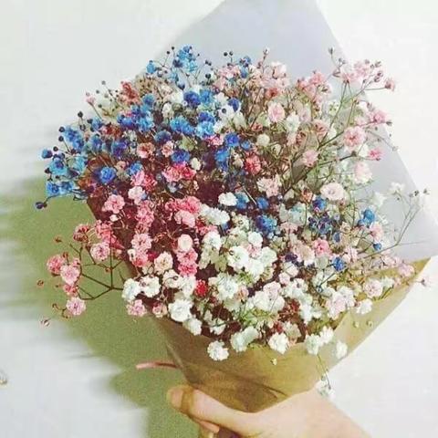 不负春光不负己，不负童真不负春！