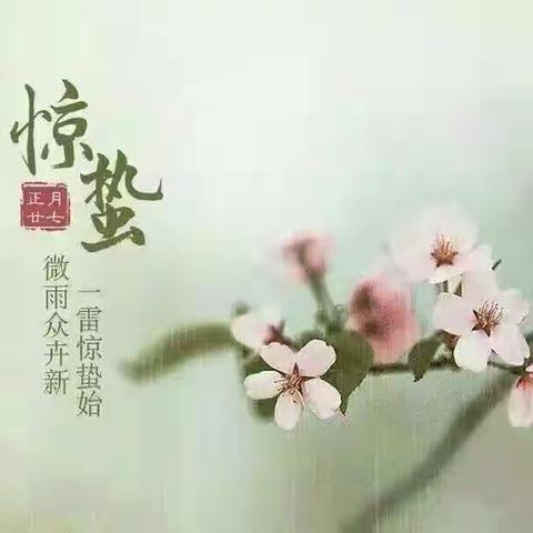 春之蛰动~~齐福幼儿园二十四节气“惊蛰”主题活动