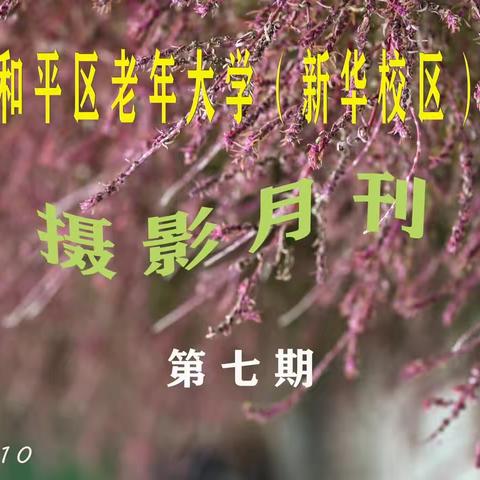 摄影十月刊