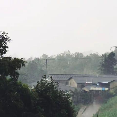 静观山河
