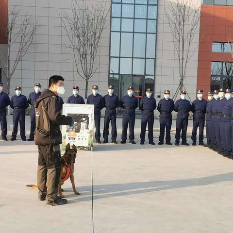 搜救中队为新训专职消防员展示搜救犬训练科目