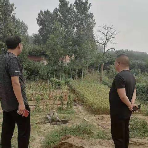 南侯四号路铺沥青