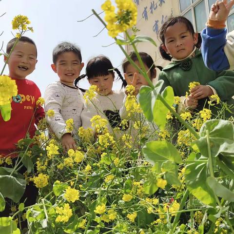 记录点滴，分享快乐——泗洪县洪桥学校幼儿园第六周剪影。