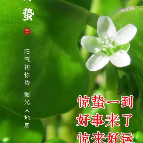 【节气课程】雨过花开渐繁盛，雷鸣春醒万物生——泗洪县洪桥学校幼儿园