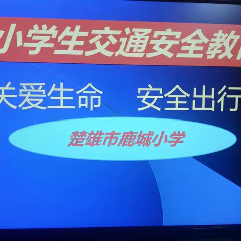 关爱生命安全出行——鹿城小学一年级交通安全教育主题班会