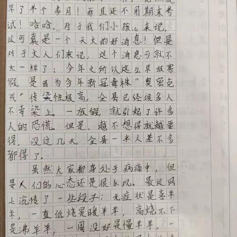 城城哥哥五年级寒假日记及习作