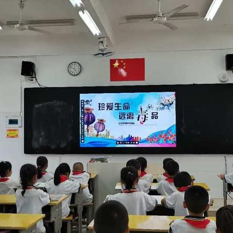 禁毒教育不松懈，筑牢校园安全网——水南学校开展禁毒教育主题活动