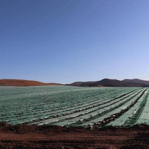 王大喜给农民算了一笔收入帐