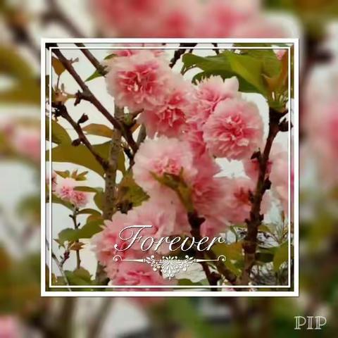 学生习作：《开学第一课》观后感