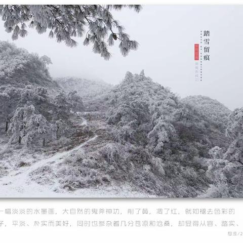 踏雪留痕