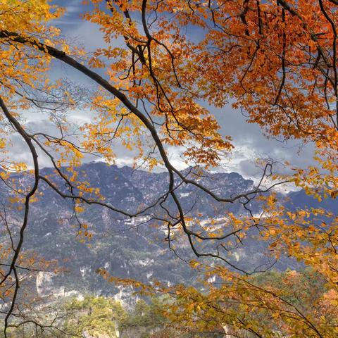 中国红叶之乡（南江县)光雾山风光掠影