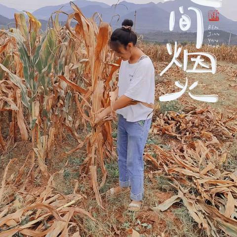 劳作知辛苦，丰收露喜悦