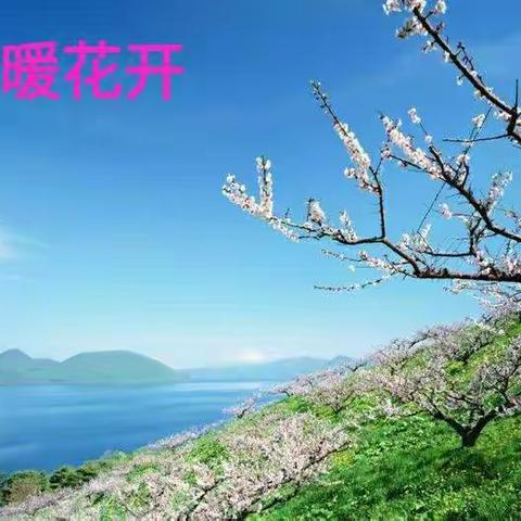 停课不停学，居家不停管-记曲周县第二中学八年级线上教学