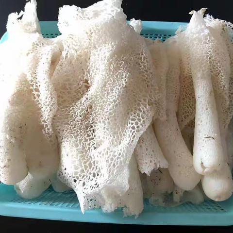 我县开展食用菌质量安全专项行动