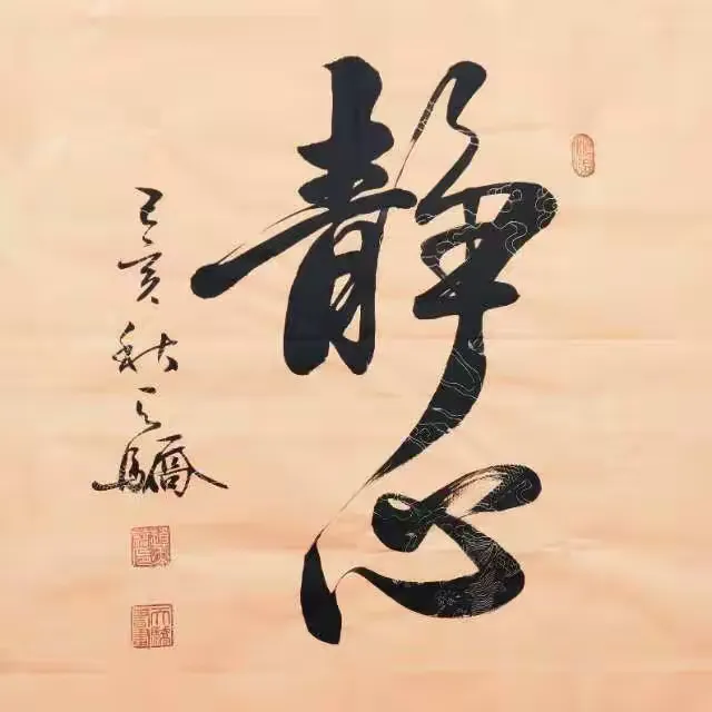 赵天骄书法作品集