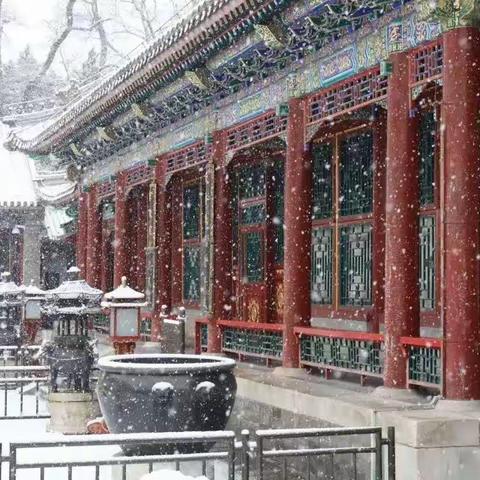 带一起畅游观赏公园雪景