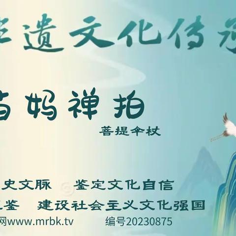 延续历史文脉 鉴定文化自信 苗妈禅拍
