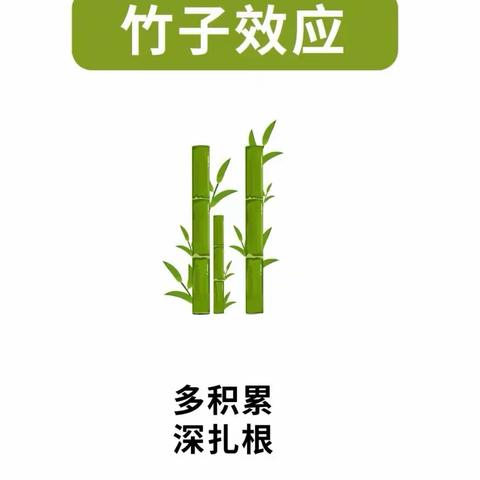 人生如梦，梦却不随人愿～竹子效应