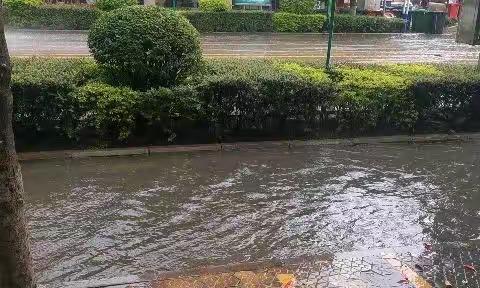 雨后彩虹的美篇