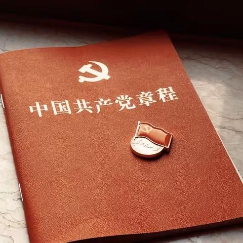 学习新党章，践行新思想，传递新使命——人和中学（西校区）十二月主题党日