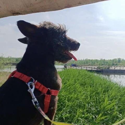 刀乐尔的幸福生活