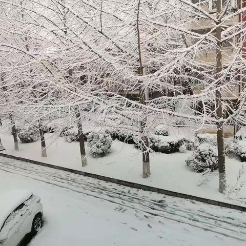 三月北京的雪