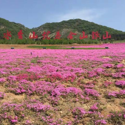 最经典值得回忆的人和事