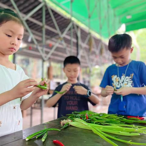 亲子厨房·欢乐一夏——朝阳小学2.1班第四读书小分队