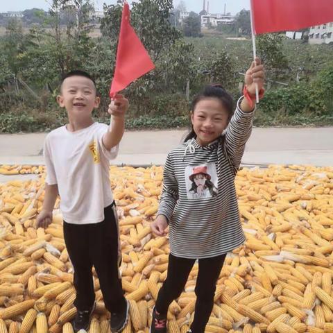 小学生庆国庆