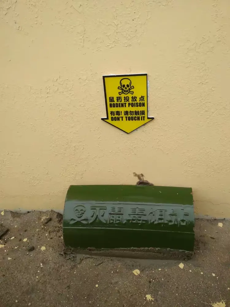 7.15,庆云县,灭鼠毒饵站,投药,修补安装