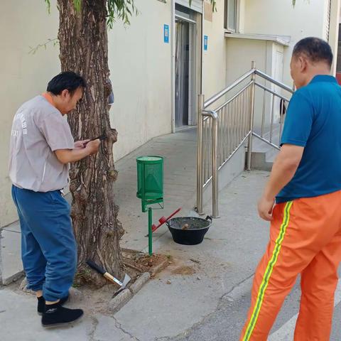 2022年6.1号安装捕蝇笼，工作进度。