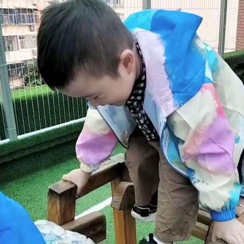 汝河路贝贝特幼儿园中二班一周生活🌸