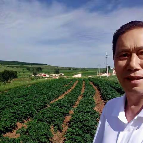 我的自拍像—夏日里