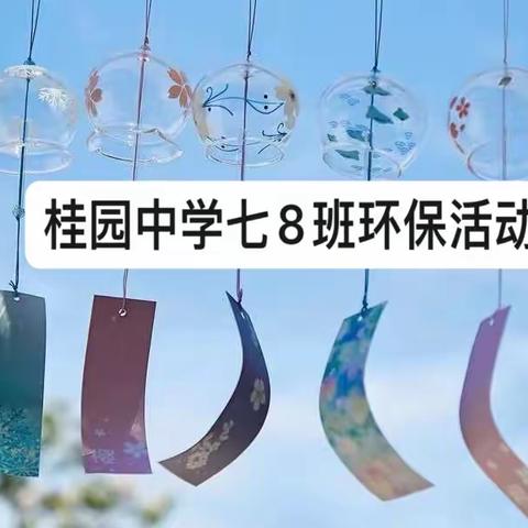 桂园中学初一8班《洪湖公园户外环保公益活动全记录》