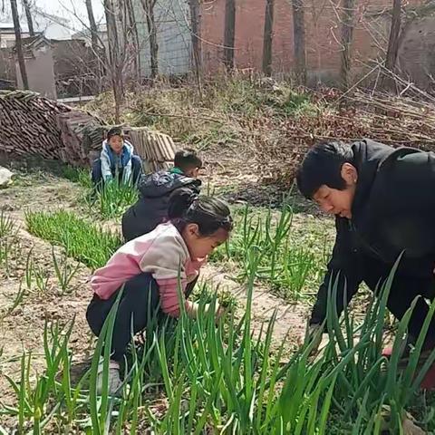 柴岗乡寺后小学学雷锋活动剪影