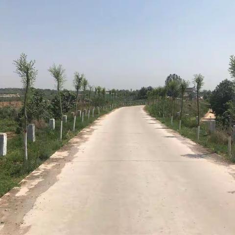 秦都区春季造林绿化成效显著