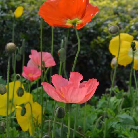 十联十送十带头  访贫问苦送真情