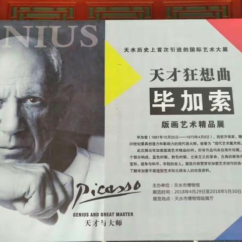 天才狂想曲·毕加索