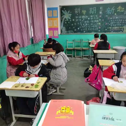 崔石门小学四年级树叶贴画课