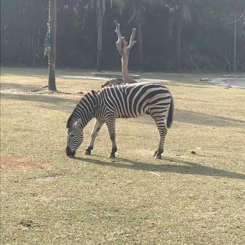 广州之行😊