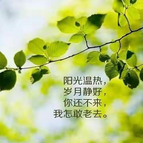 时光悠悠