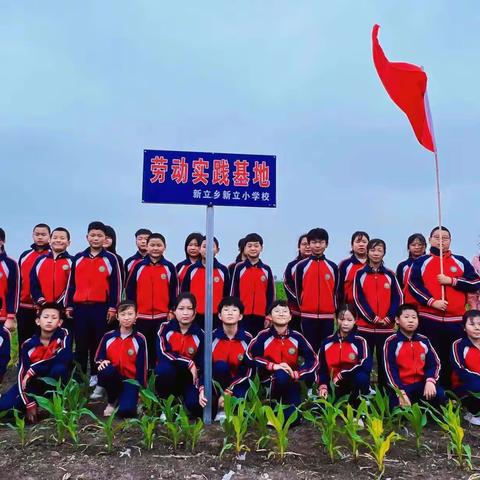 实践我先行 劳动最光荣🌾