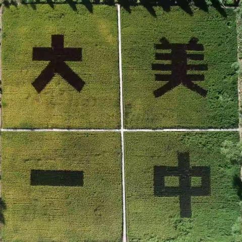 高一社团第八次活动剪影