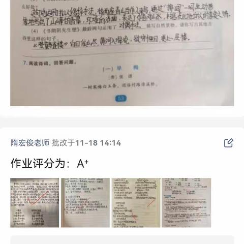 线上教学总结