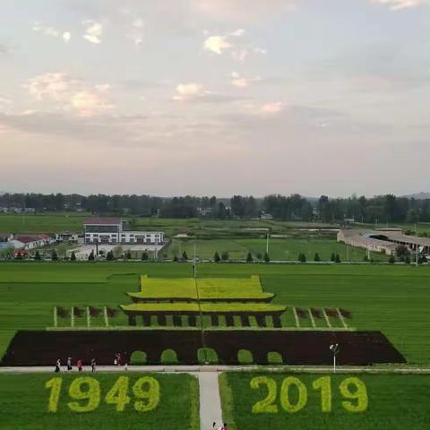 艺术稻田＆最美常庄二日游