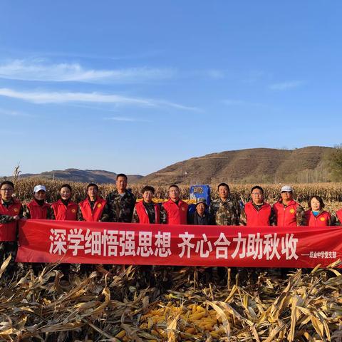 深学细悟强思想•齐心合力助秋收