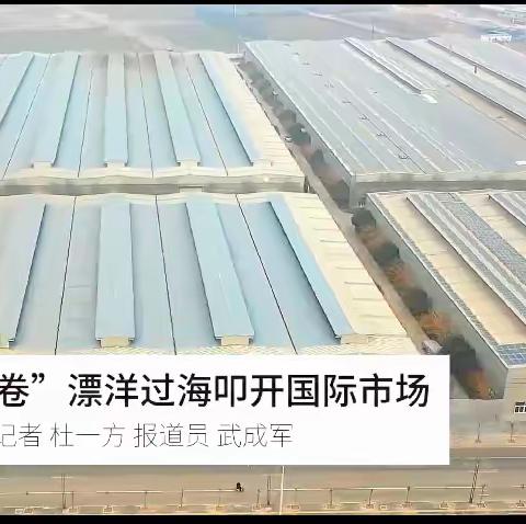 “小春卷”漂洋过海叩开国际市场