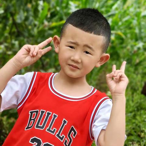 我是劳动小模范