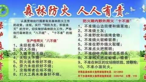 森林防火，我们在行动                          -双山子小学防火安全教育活动
