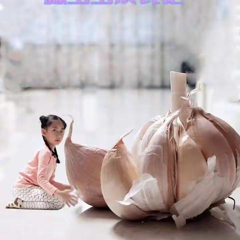 宜州小学一年组“我和蒜苗共成长”亲子实践活动纪实